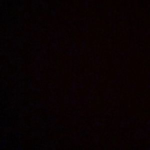 Meet your Posher, Shantell